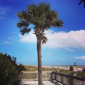 Meet your Posher, Traci